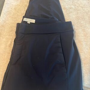 Anatomie Dark Blue Straight Leg Pants